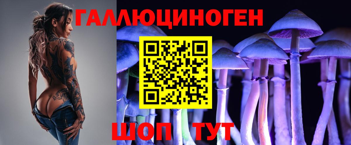 Псилоцибиновые грибы Psilocybine cubensis  Вход с VPN  Новосибирск 